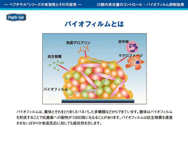 よく読まれている記事画像